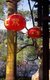 China: Lanterns in Renmin Park, Nanning, Guangxi Province