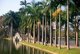 China: Palm trees line a path leading to a bridge, Renmin Park, Nanning, Guangxi Province